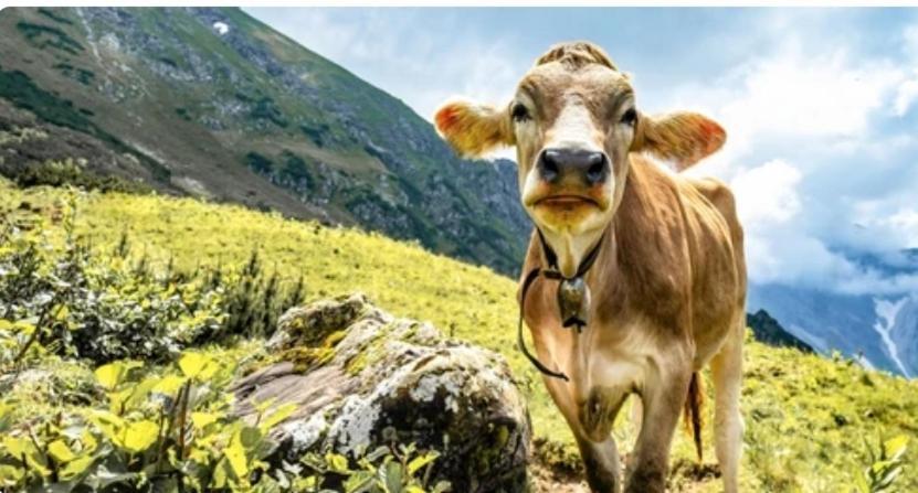 Ferienwohnung Weber Alpenglueck Lechbruck Luaran gambar